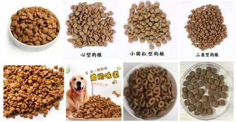 創新寵物飲食 多口味寵物飼料膨化機的應用與發展
