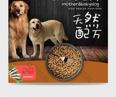 淘寶寵物食品主圖與直通車圖設計指南 提升點擊與轉化率